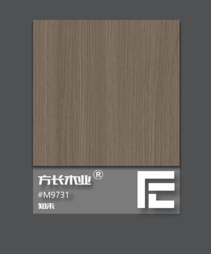 木紋系列-M9731知未
